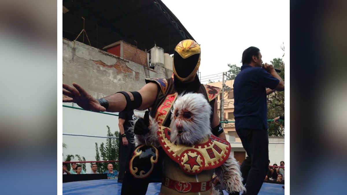 Arremete Tinieblas Jr. contra la lucha libre extrema en México