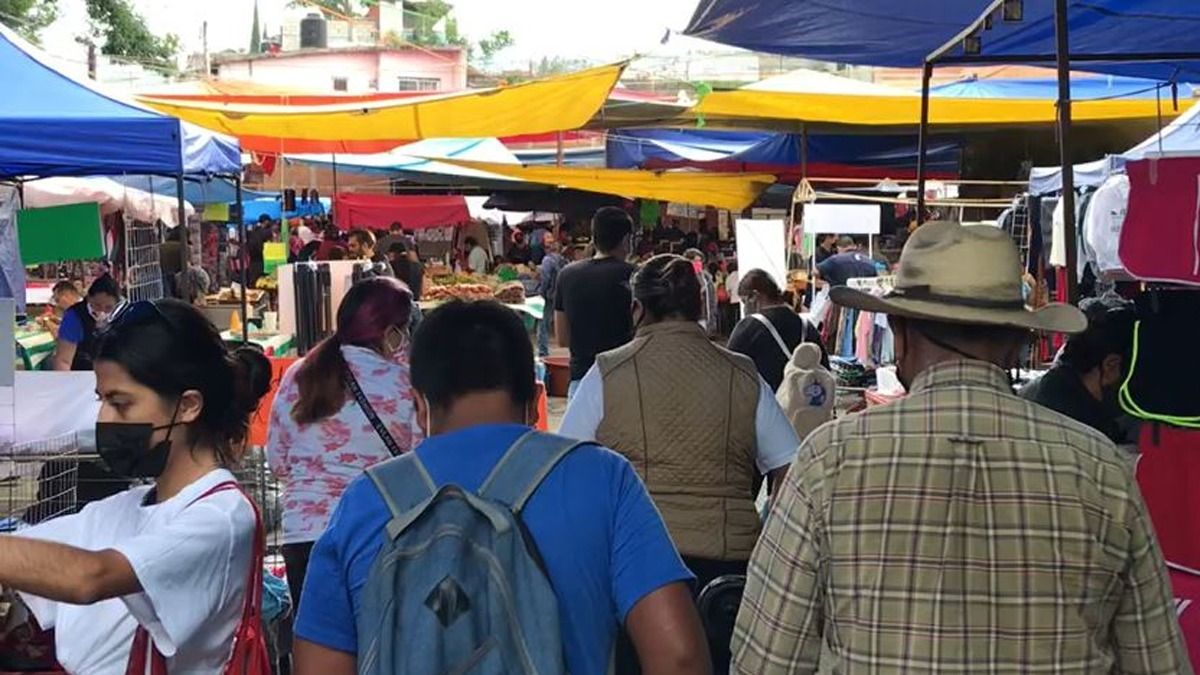 24 Morelos Tianguis