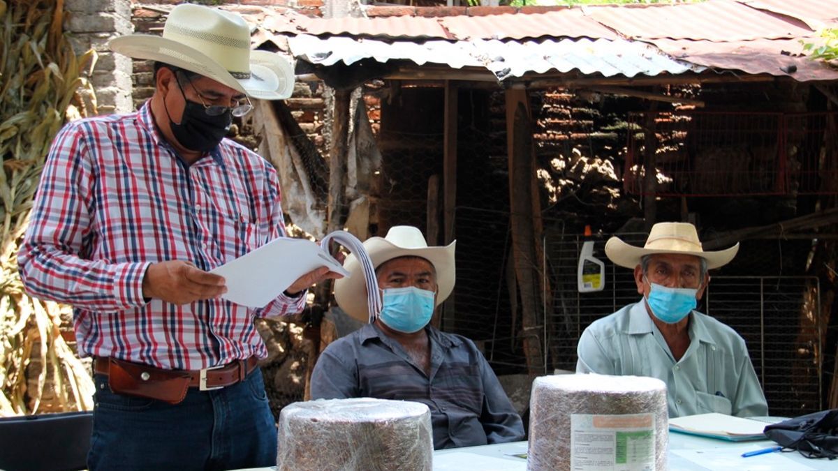 Reanudan actividades ganaderos en Ayala