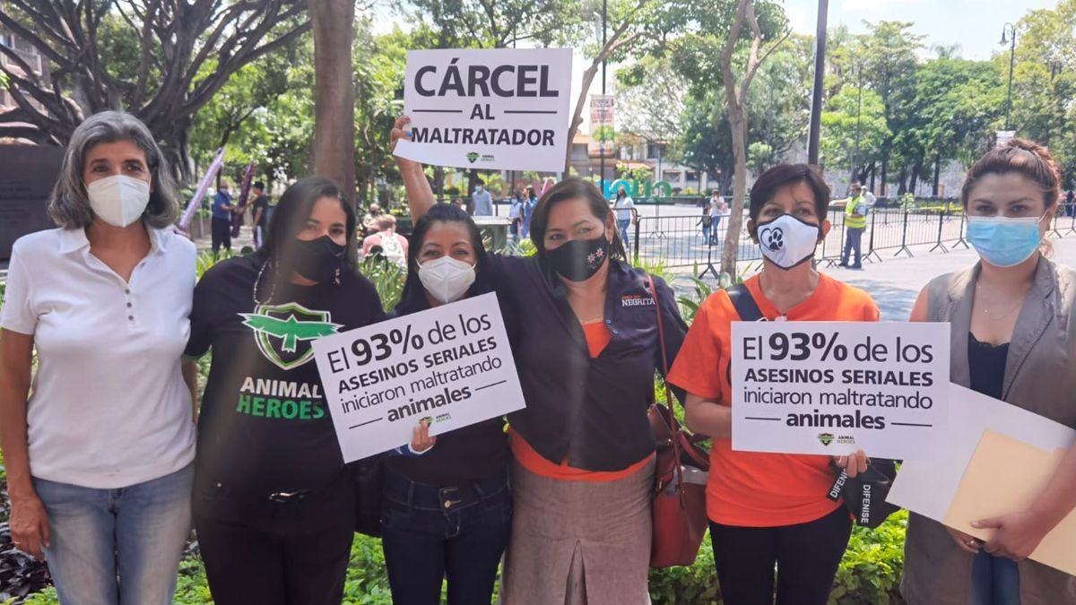 93 % de asesinos seriales iniciaron maltratando animales