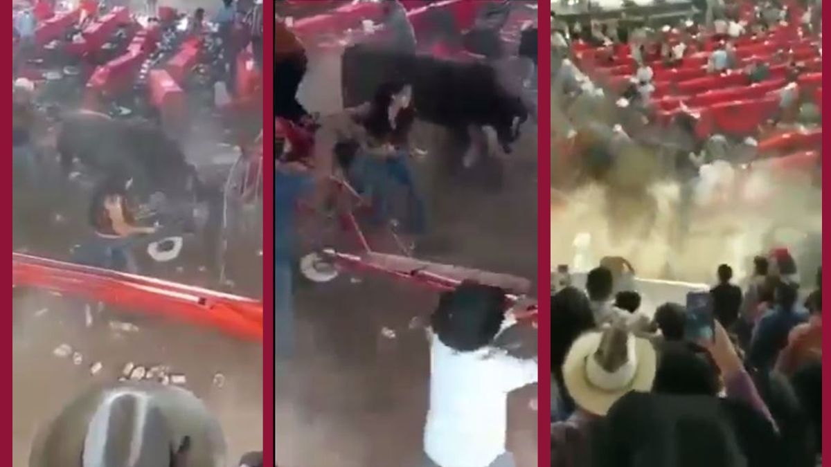 Toro embiste a asistentes en jaripeo de Michoacán