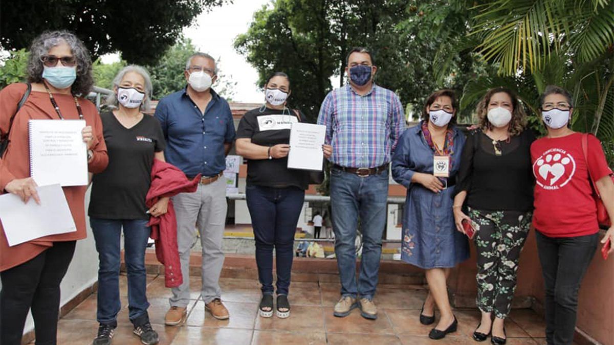 Preocupa el abandono animal en Cuernavaca