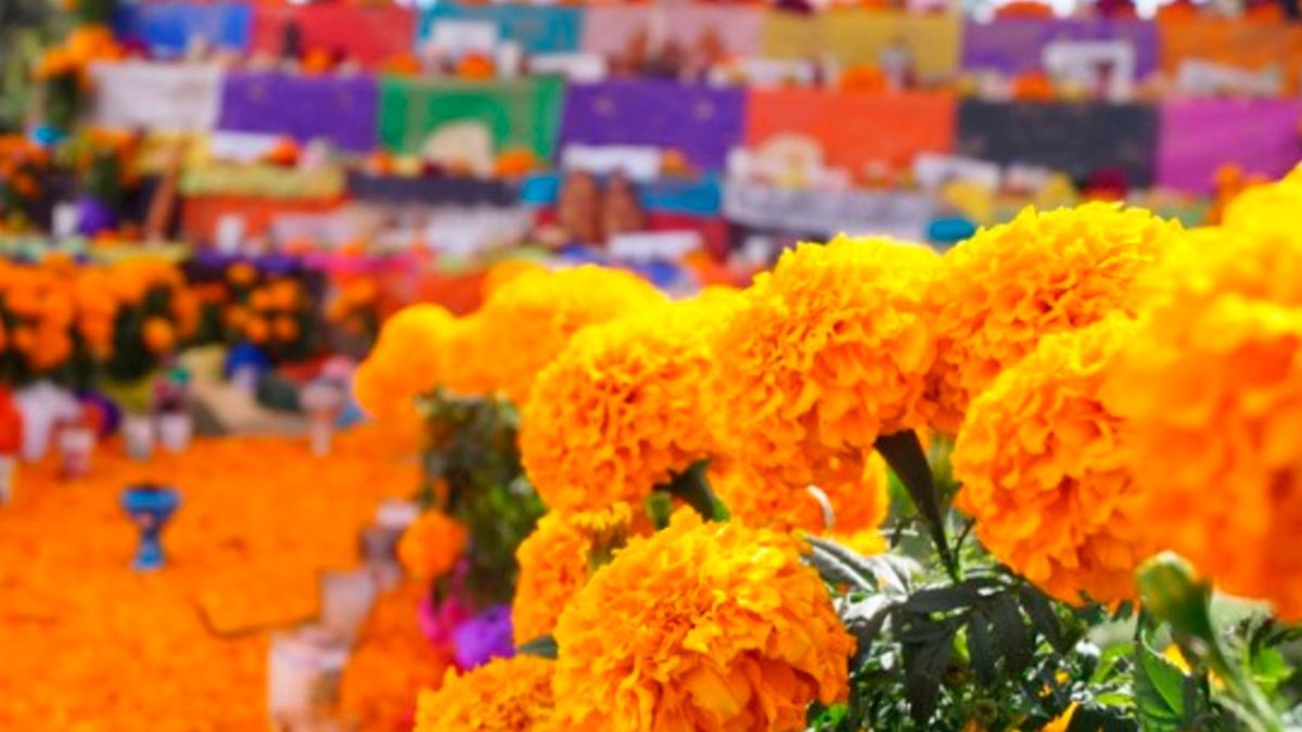 Sí se llevará a cabo feria del Día de Muertos en el ALM