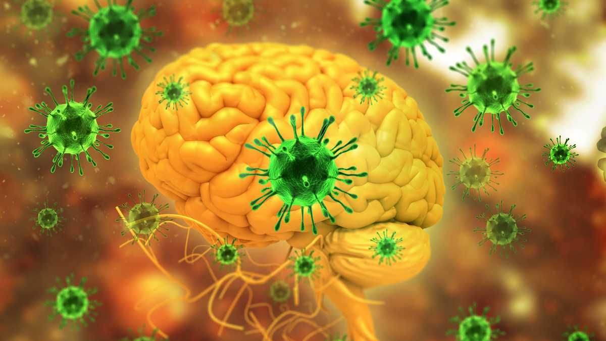 El virus de Nipah