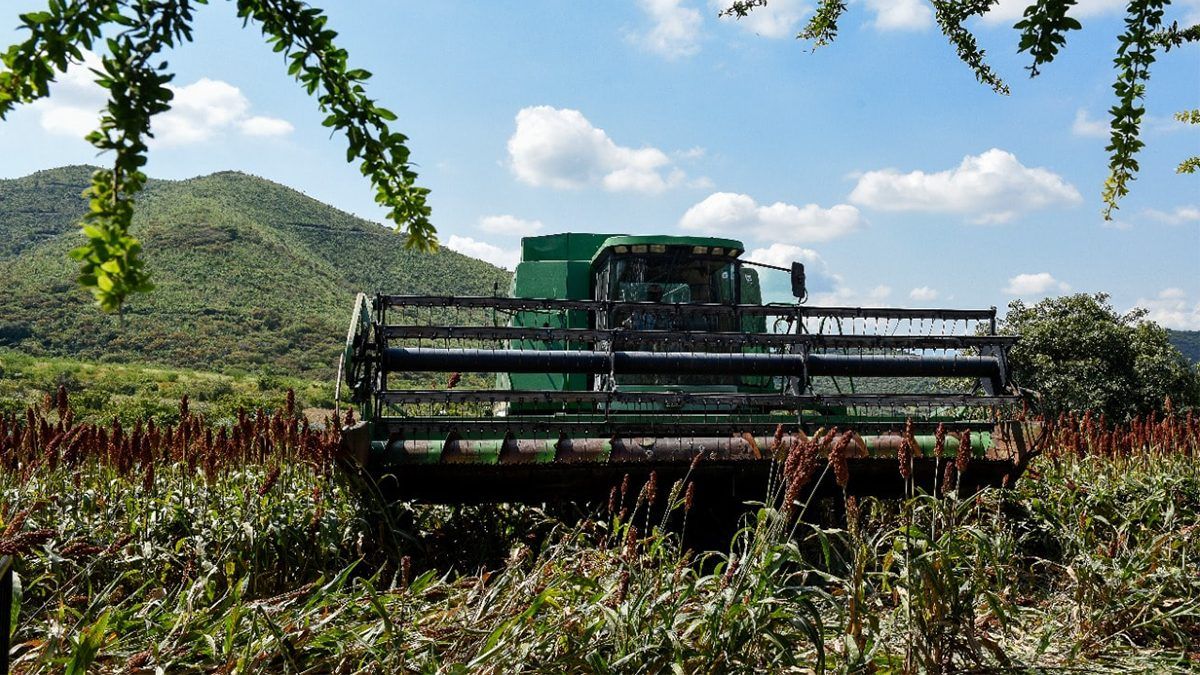Entregan apoyo a campesinos de Temixco