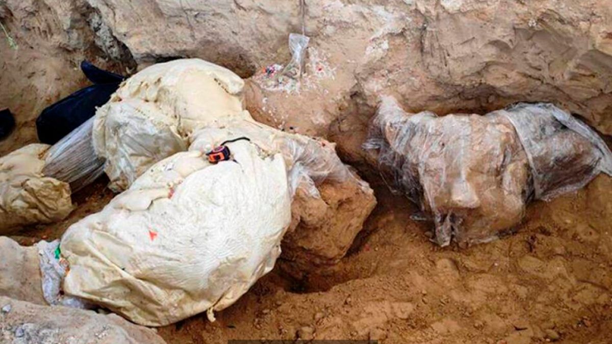 Hallan restos de mamut en Puebla