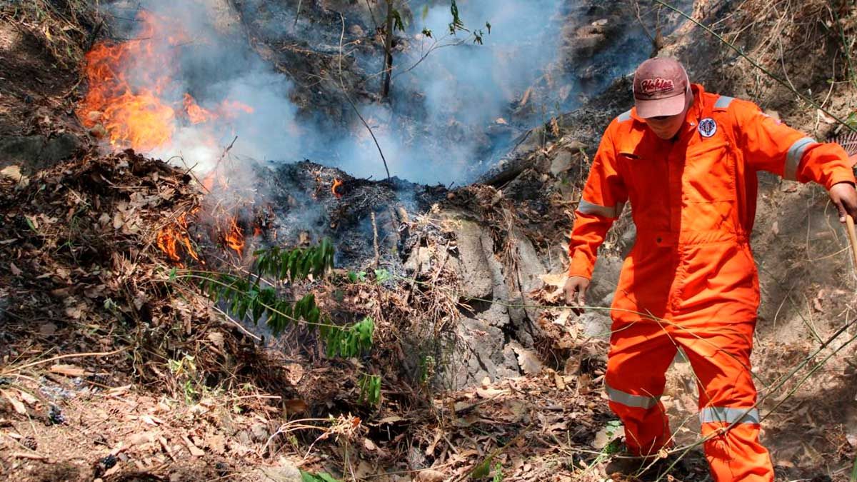 Denuncian al “Pipiolo” por incendio en Tepoztlán