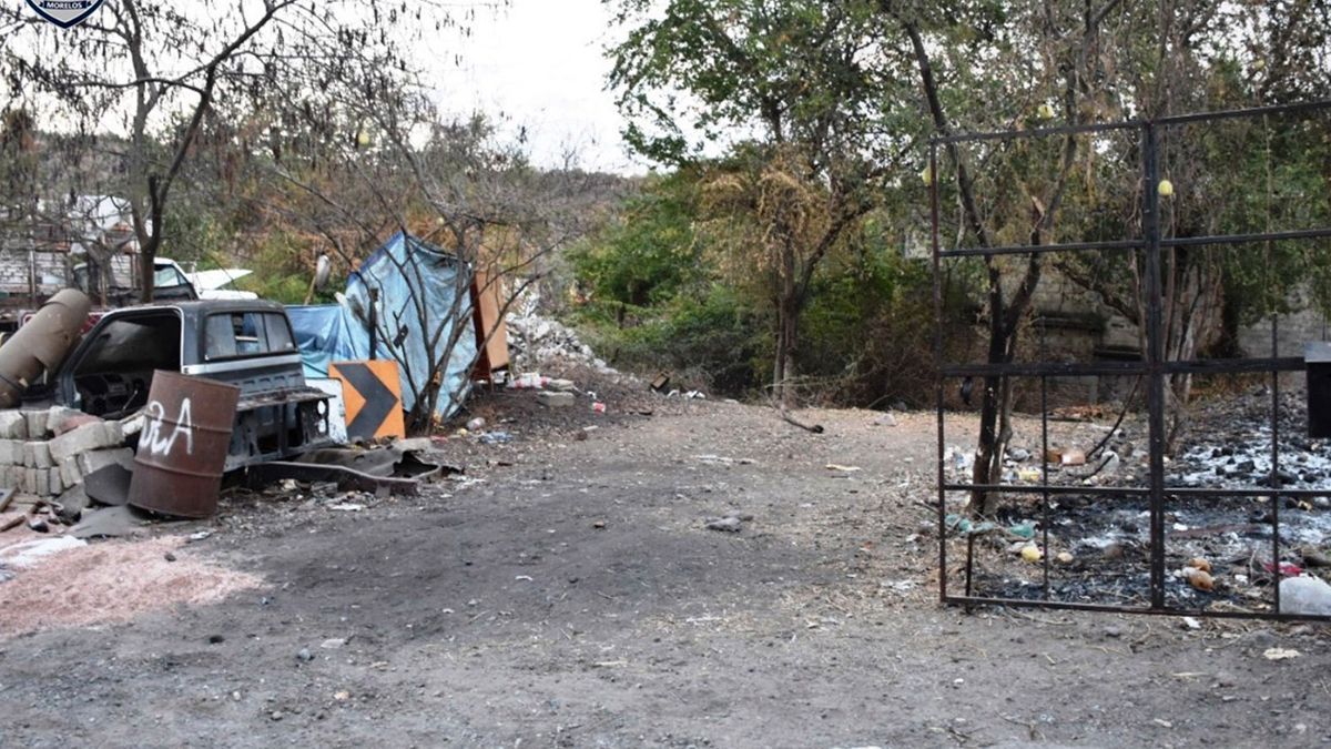 Aseguran 23 vehículos tras cateo en Amacuzac