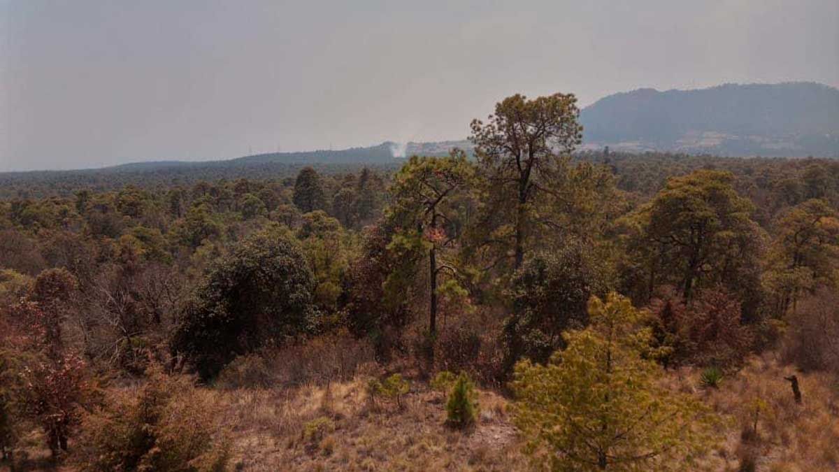 Tepoztlán el más afectado por incendios