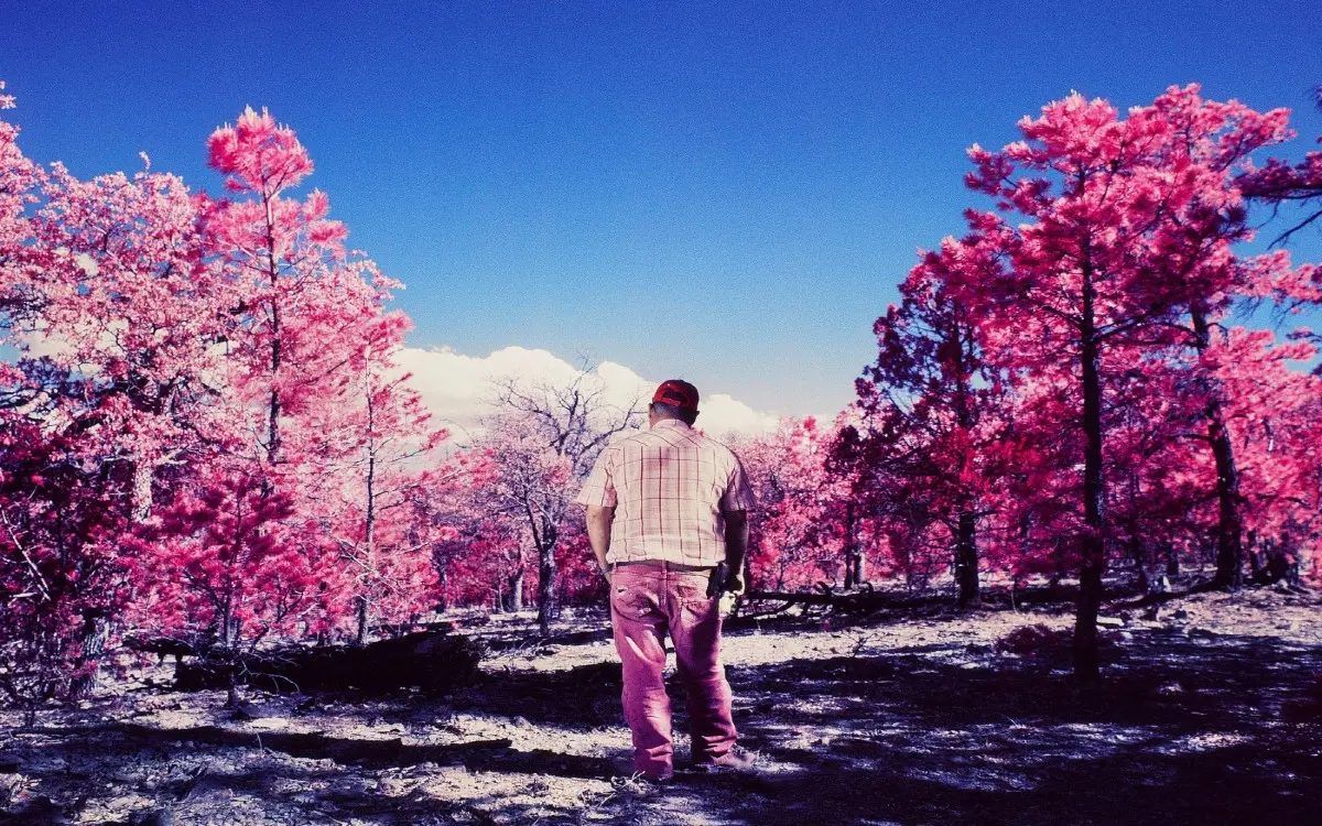 Mexicana gana premio de fotografía con la historia de la búsqueda de su padre