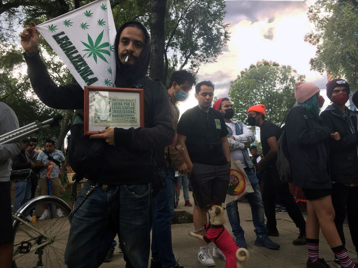 SCJN determinó que no es ilegal poseer más de 5 gramos de marihuana