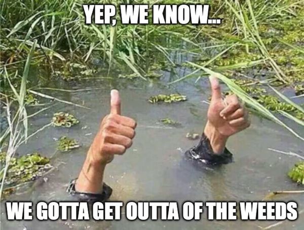 Error 404: Clear Explanation Not Found (Now Fixed)