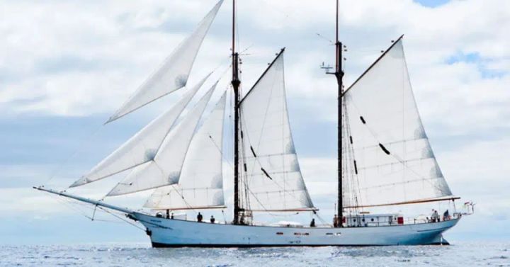 Café William Embarks on Historic Voyage with the Largest Sailing Cargo Ship of the 21st Century: A Sustainable Journey of Coffee Beans from Colombia to Québec