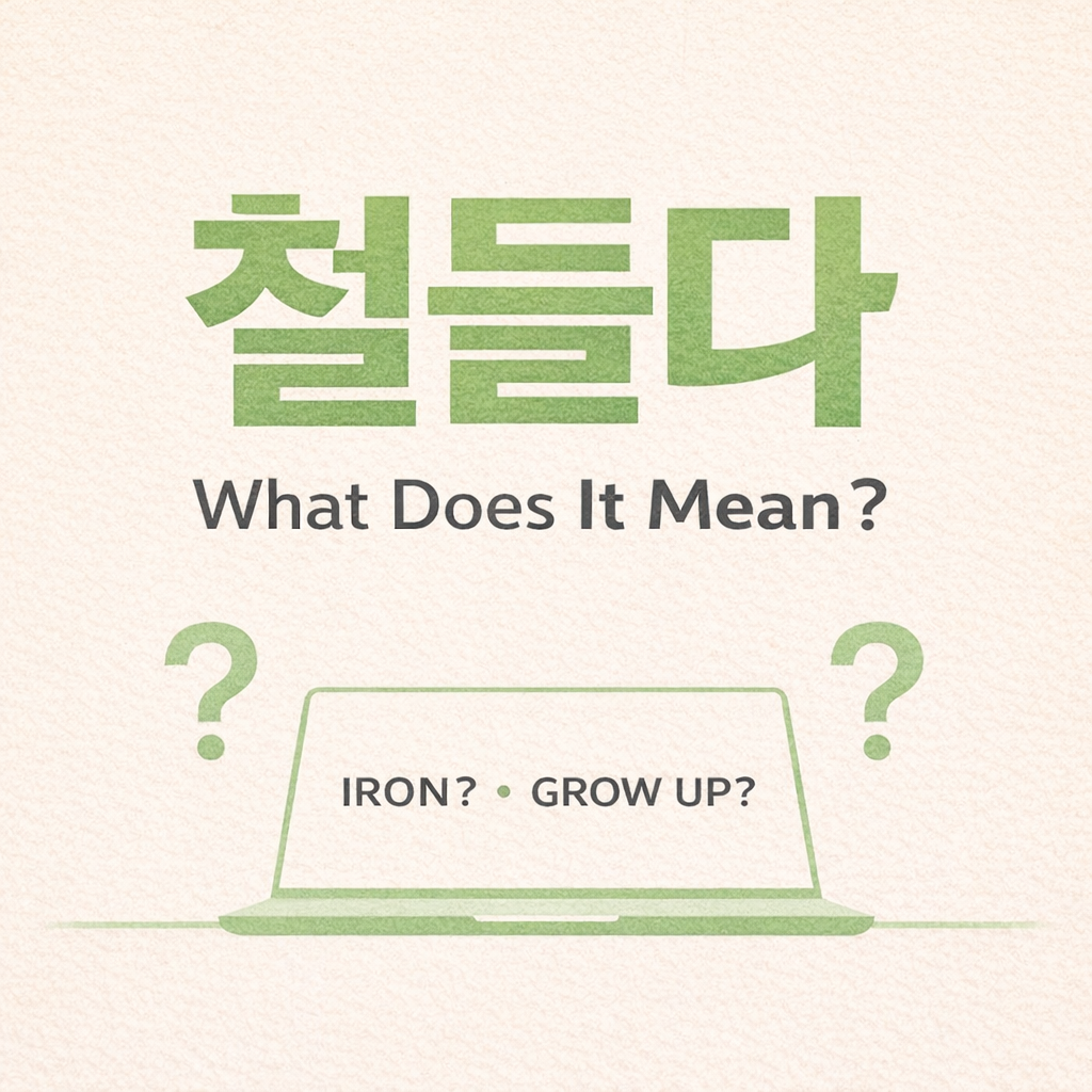 Why Korean Ads Are So Hard to Understand (LG Gram Explained)