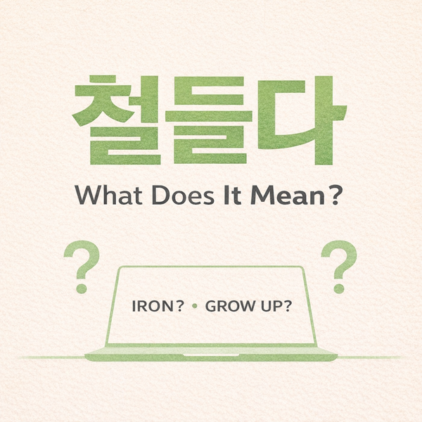 Why Korean Ads Are So Hard to Understand (LG Gram Explained)