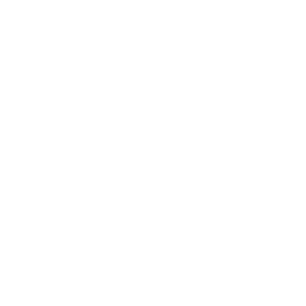 The Citizens Dispatch