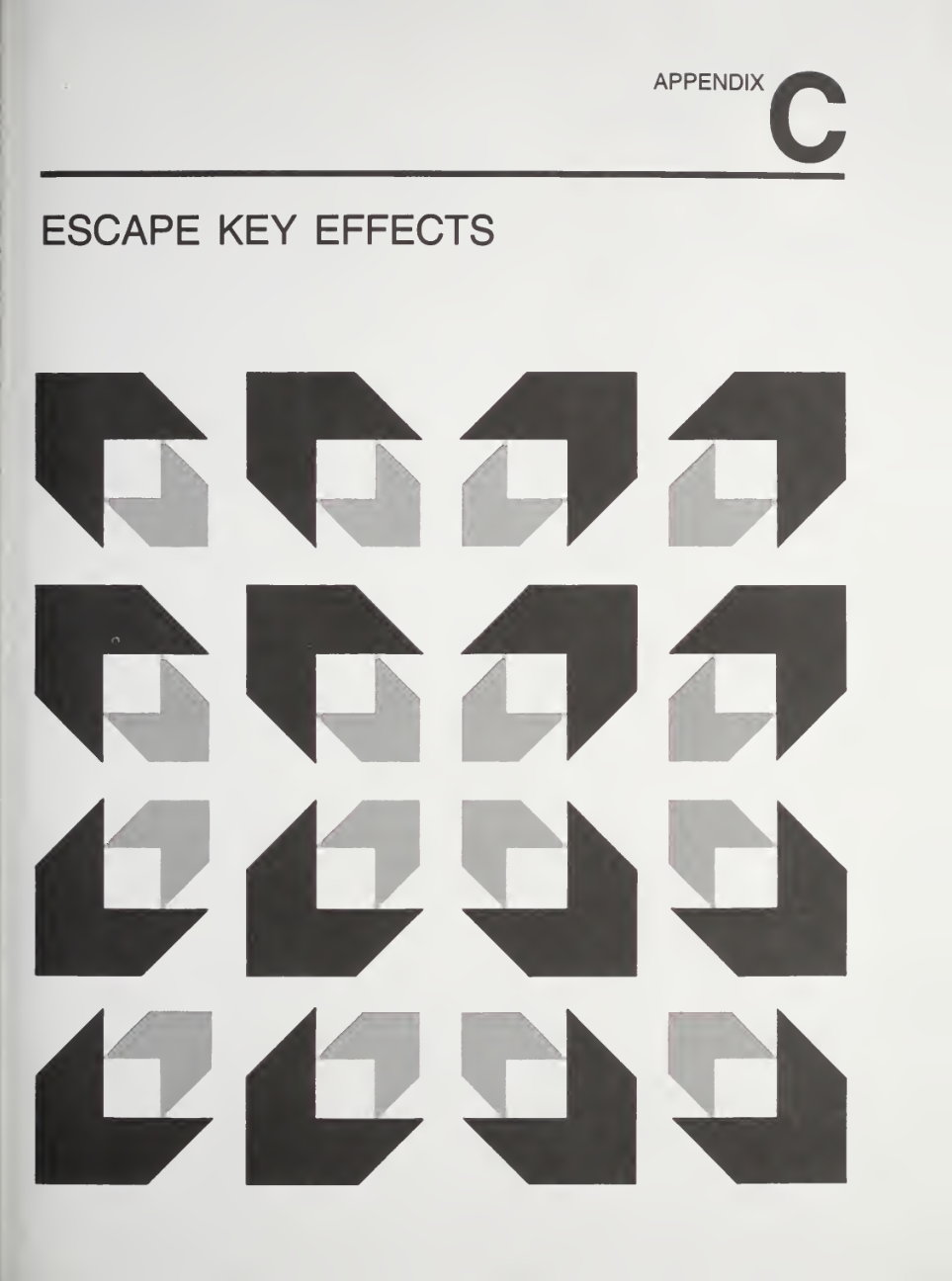 The title page introducing "Appendix C: Escape Key Effects". The title is small, the rest of the page is filled with an abstract graphic of arrow shapes emanating from the center.