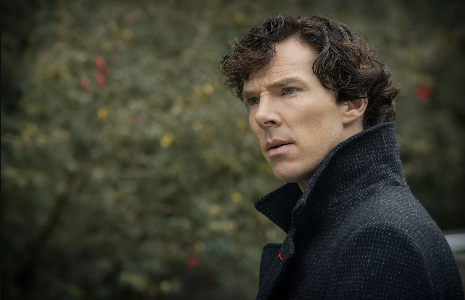 Benedict Cumberbatch, I think in his Sherlock phase, looking perplexed. He's wearing a dark grey coat with the collar turned up, behind him out of focus are trees I think. Maybe big big bushes?