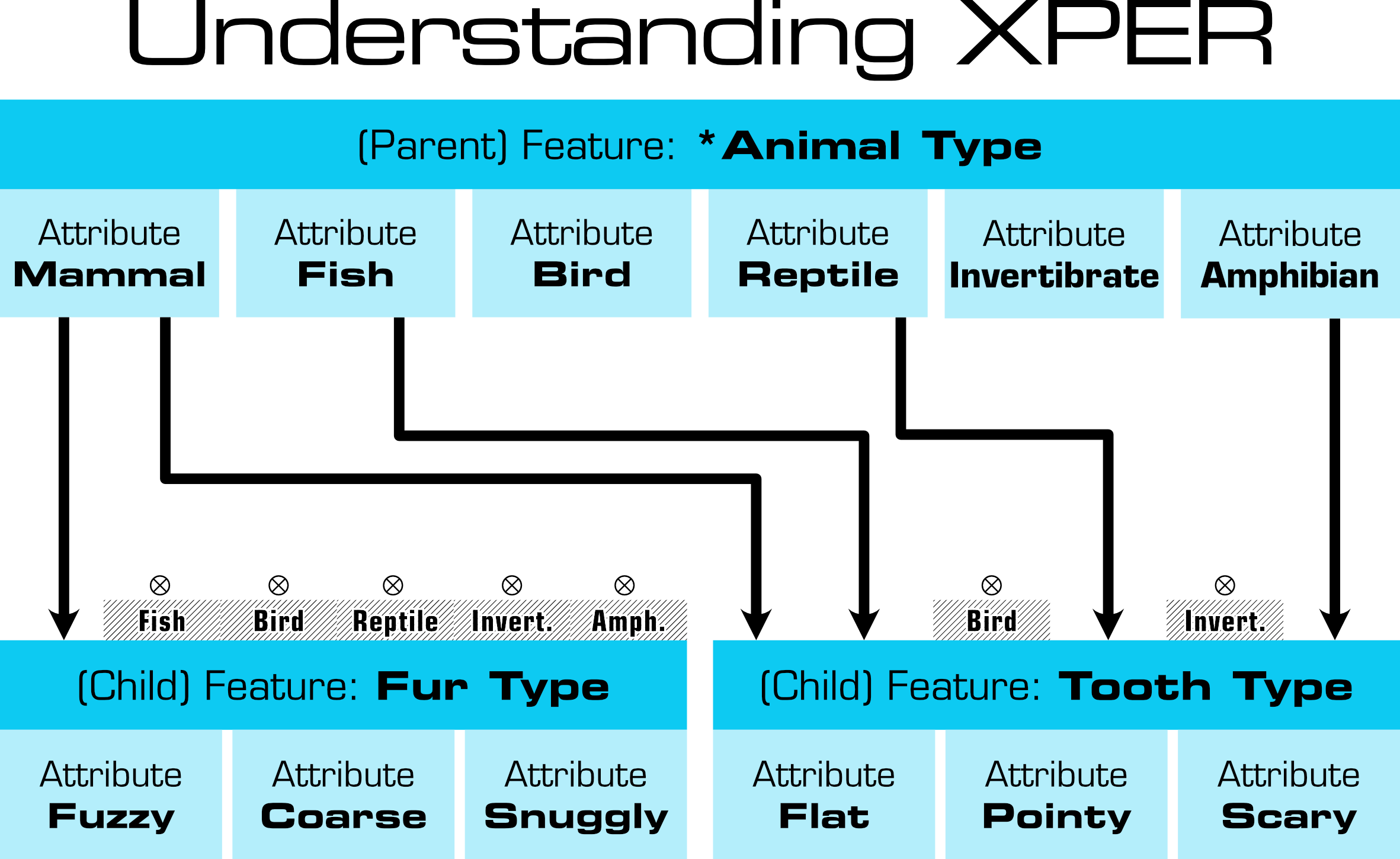 A hierarchical diagram showing XPER’s feature dependencies. A parent feature, “Animal Type,” offers attributes such as Mammal, Fish, Bird, Reptile, Invertebrate, and Amphibian, which conditionally enable child features like “Fur Type” and “Tooth Type,” each with their own discrete attributes. For example, "Fur Type" is unlocked only when the "Animal Type" feature is set to "Mammal", otherwise it is excluded.