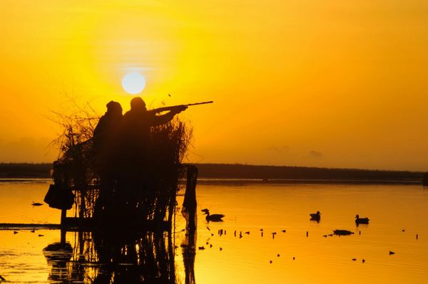 Programi i Vrasjeve në Jemen: Nga Navy SEAL në Vrasës me Pagesë