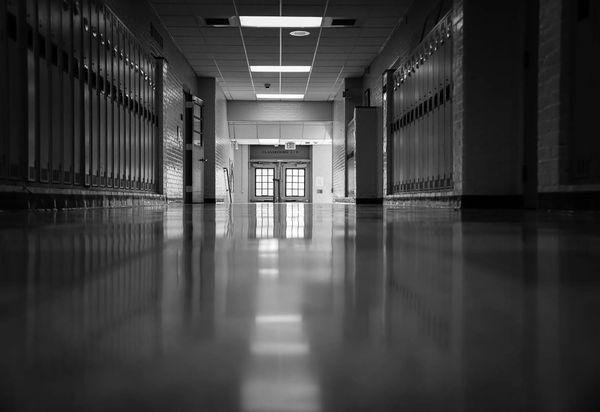 What a Custodian Actually Does