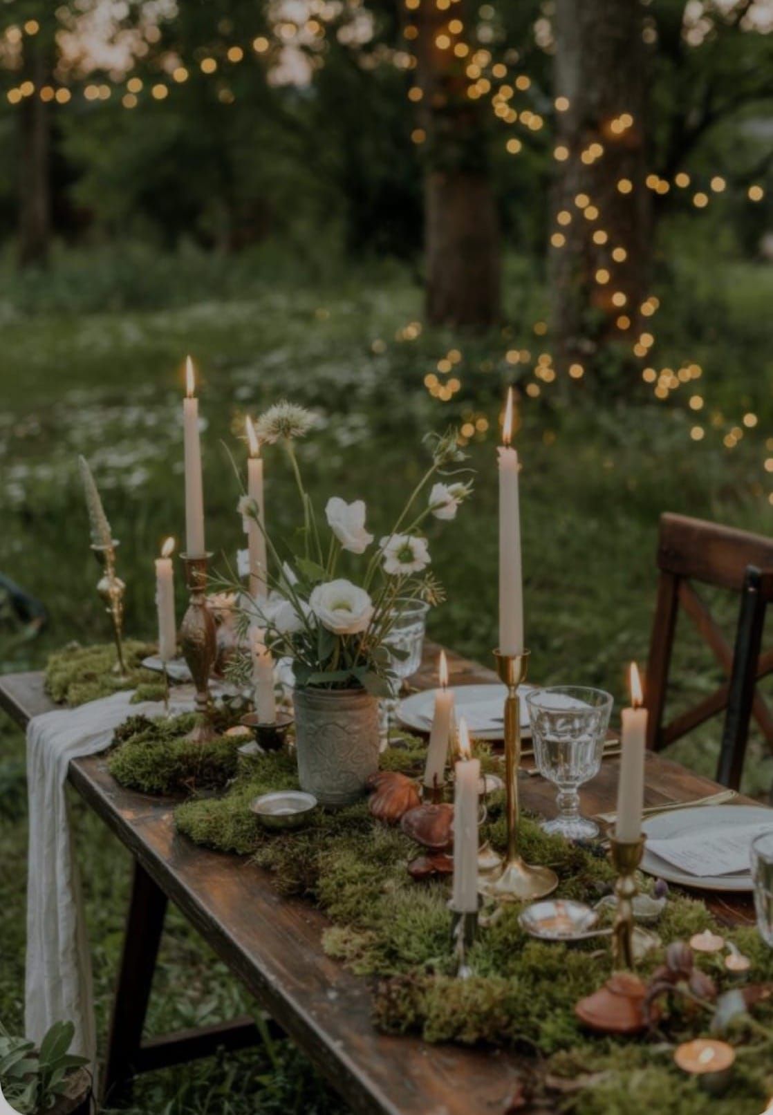 Forage & Feast