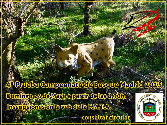 Un ejemplo de cartel anunciado liga madrileña