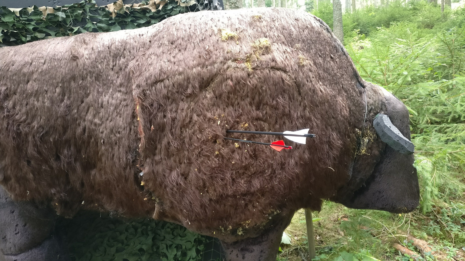 IMG_20170905_124406_low