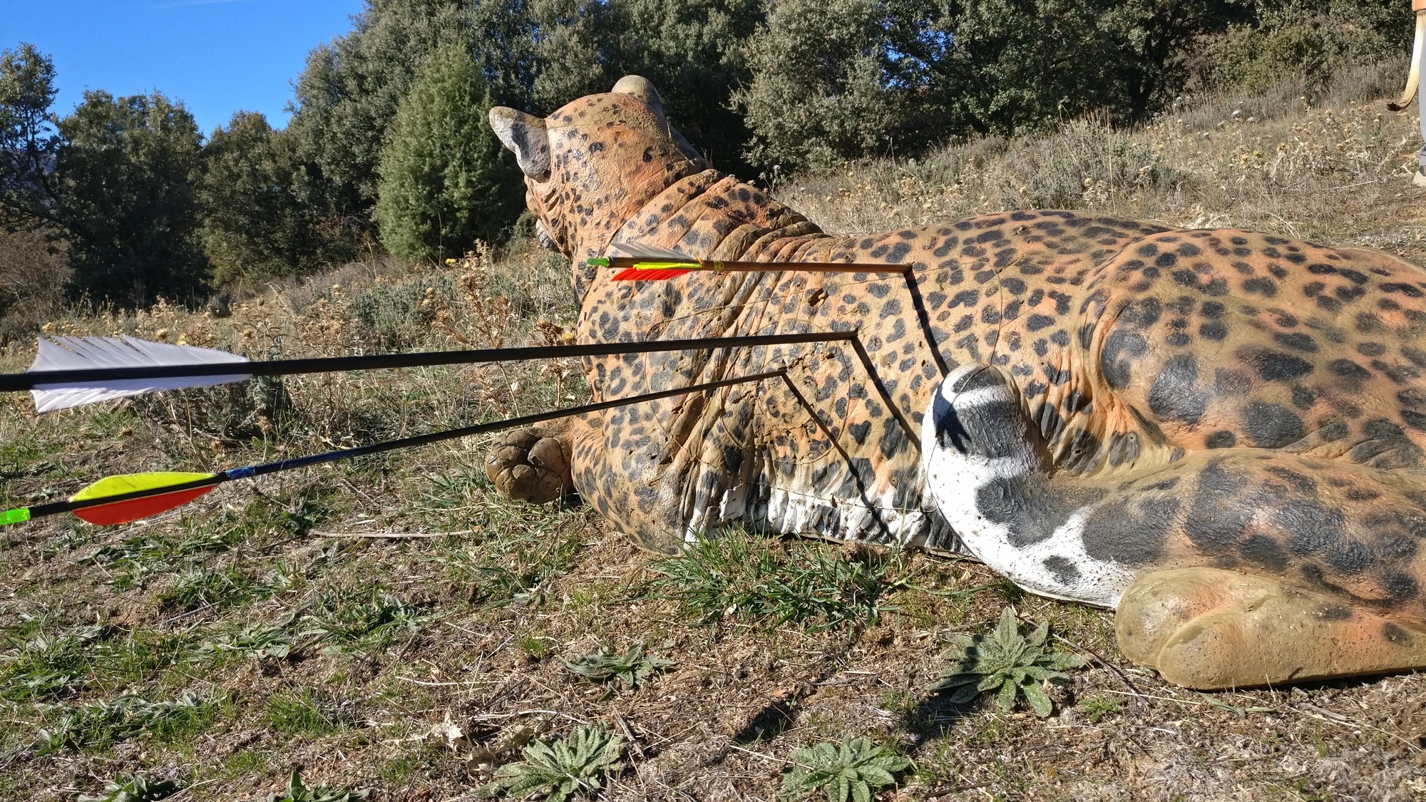 IMG_20171112_130403-3