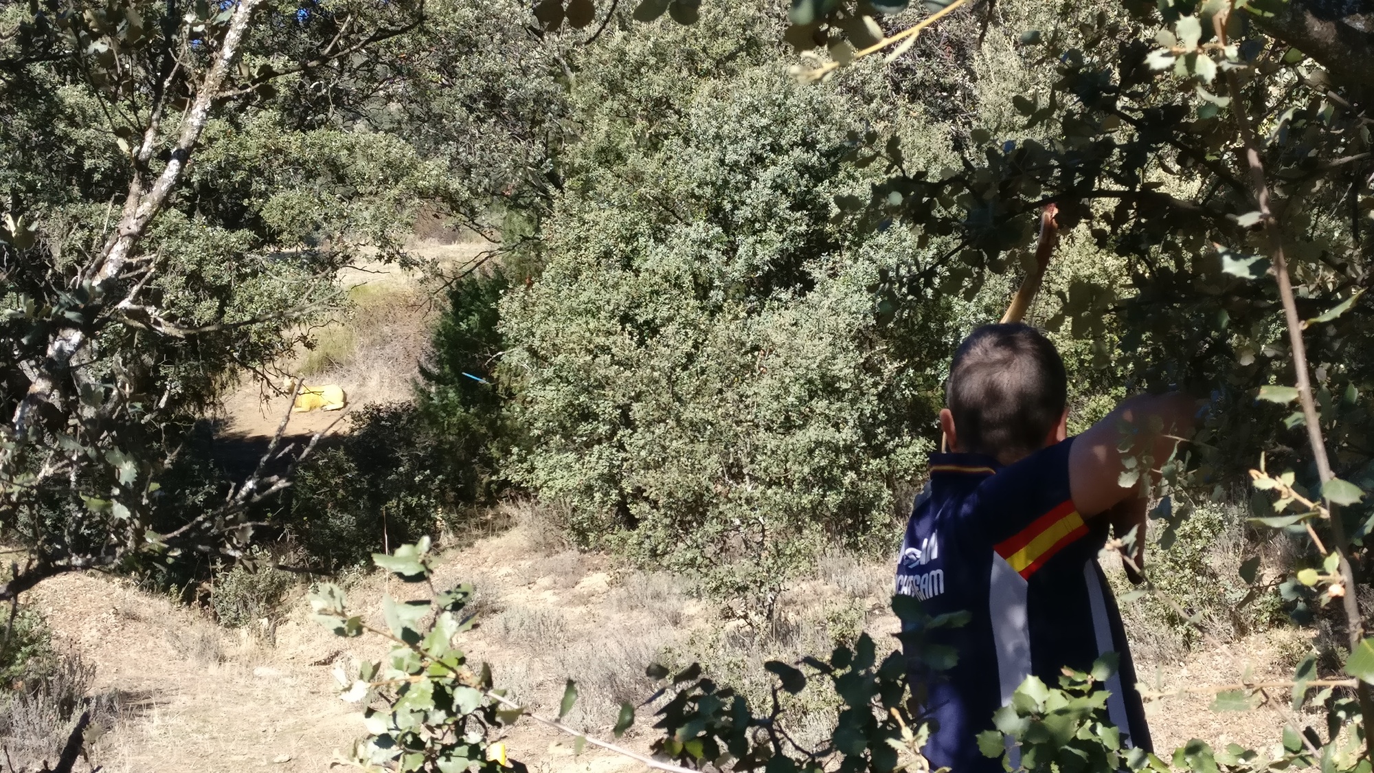 IMG_20171112_130403-5