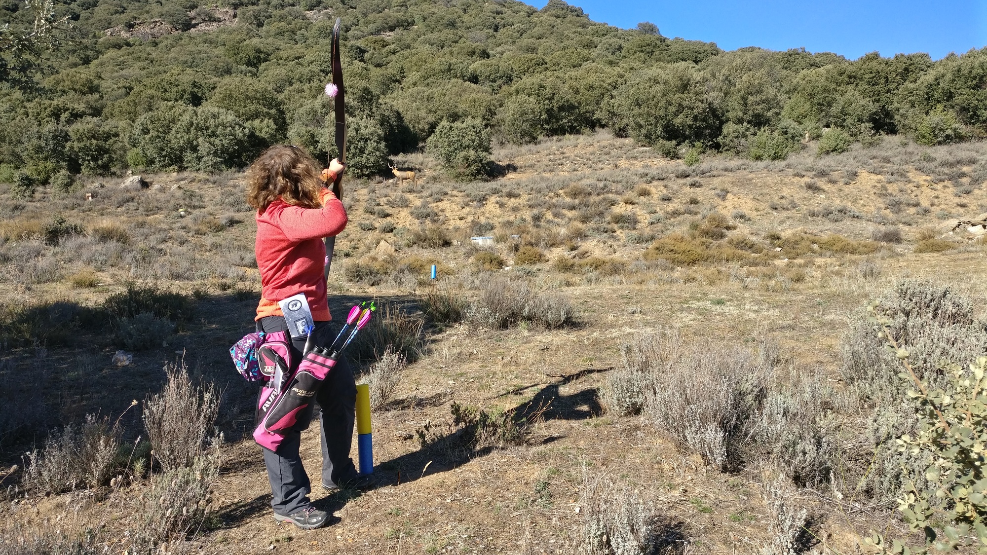 IMG_20171112_130403-6