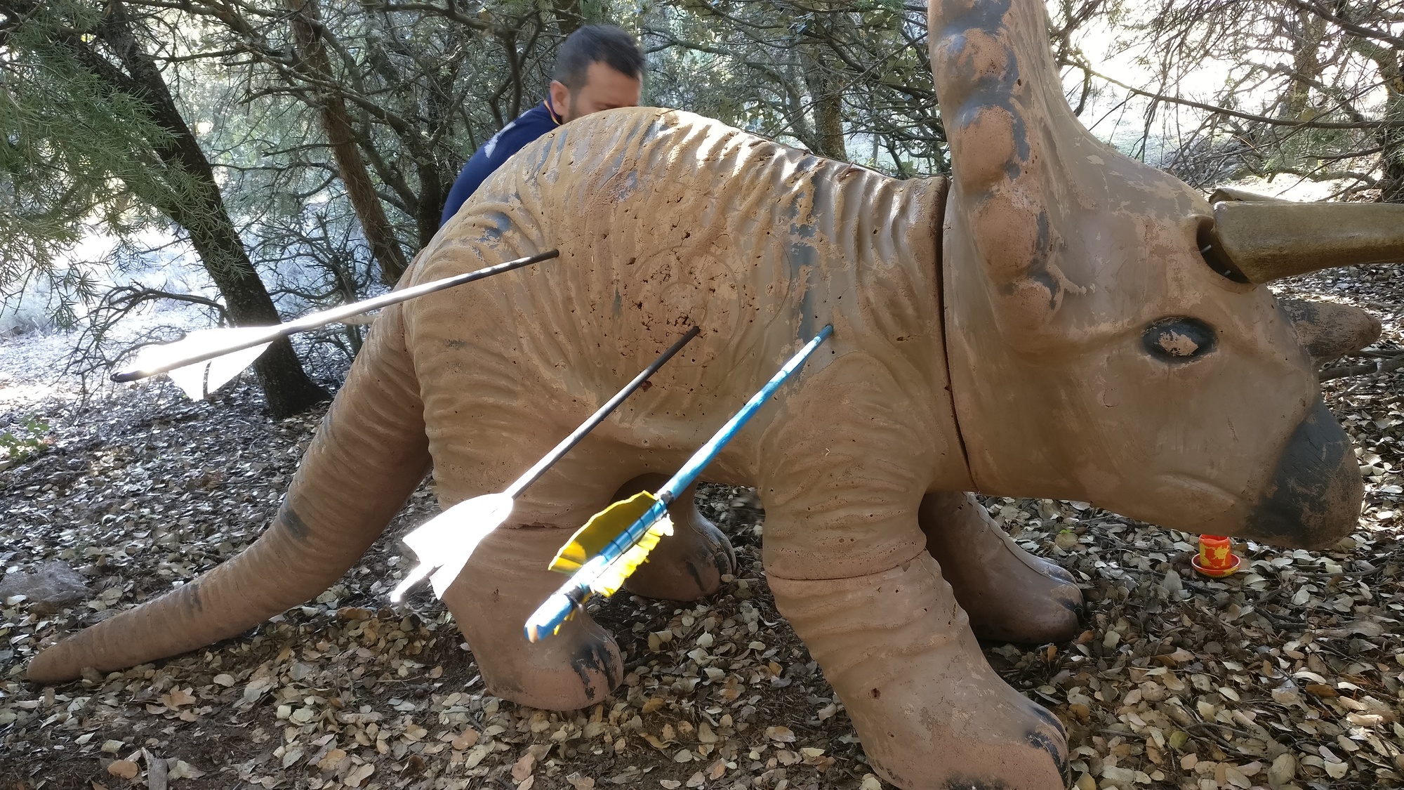 IMG_20171112_130403-7