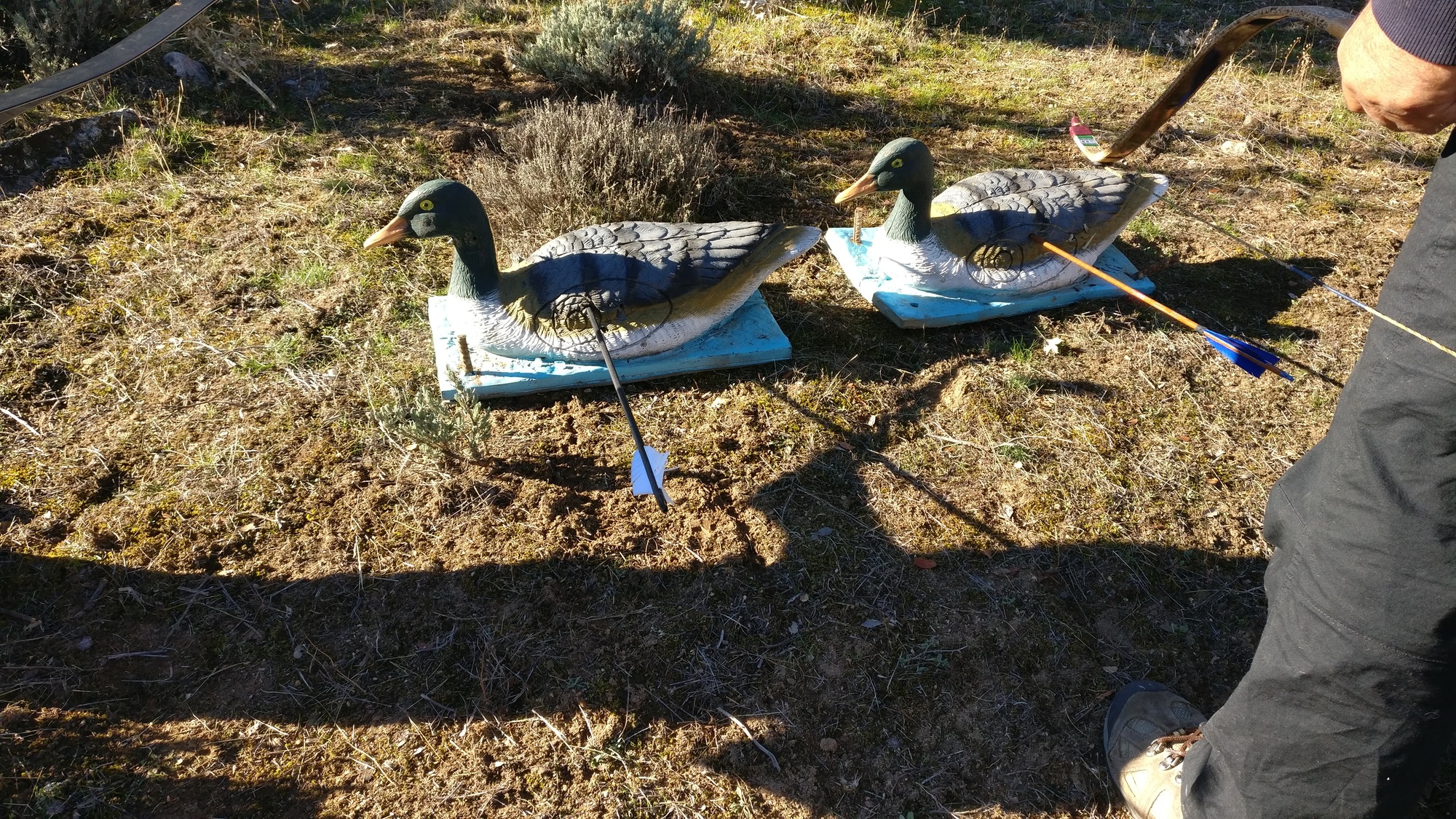 IMG_20171112_130403-9