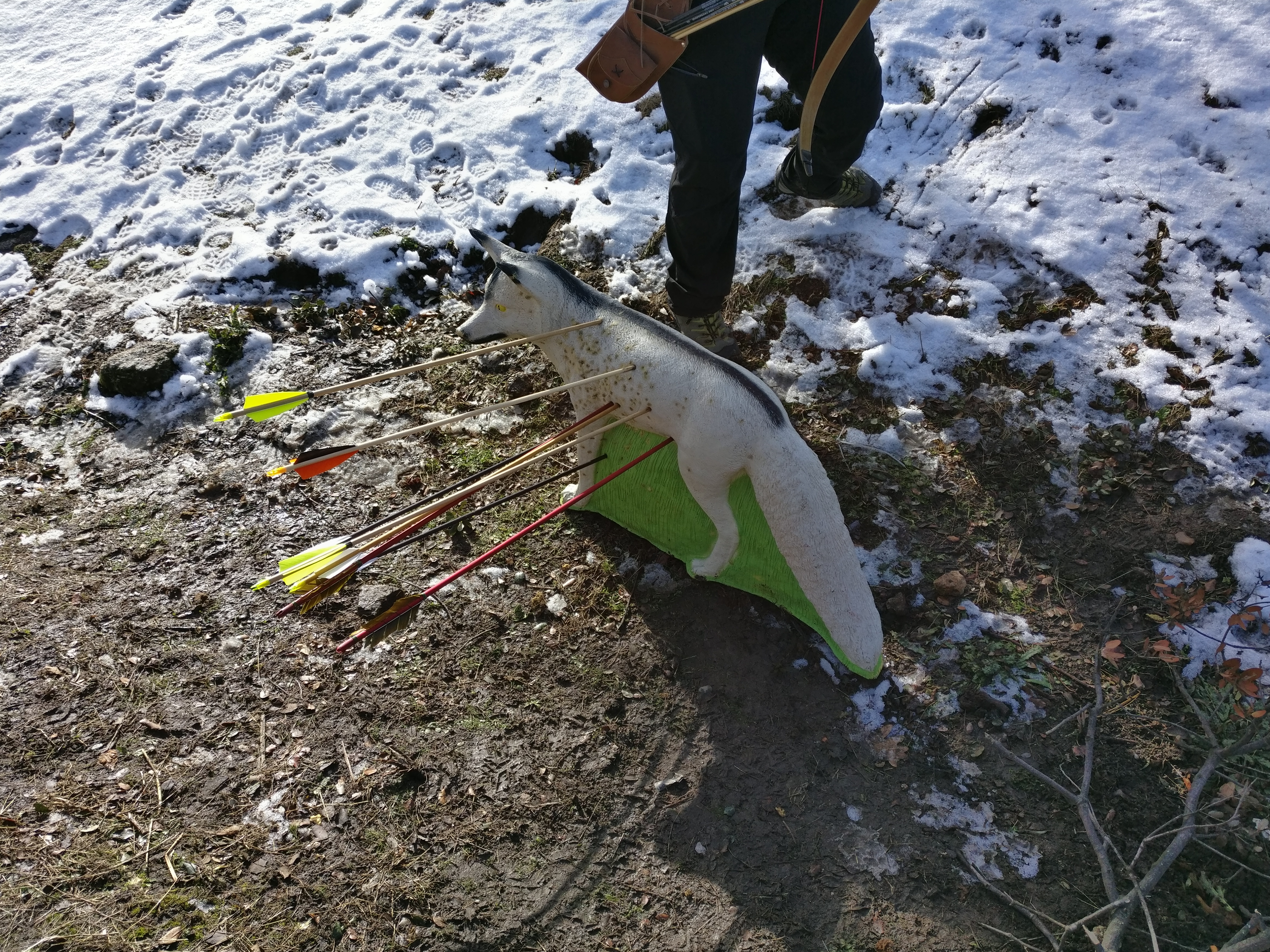 IMG_20180114_132052--1-