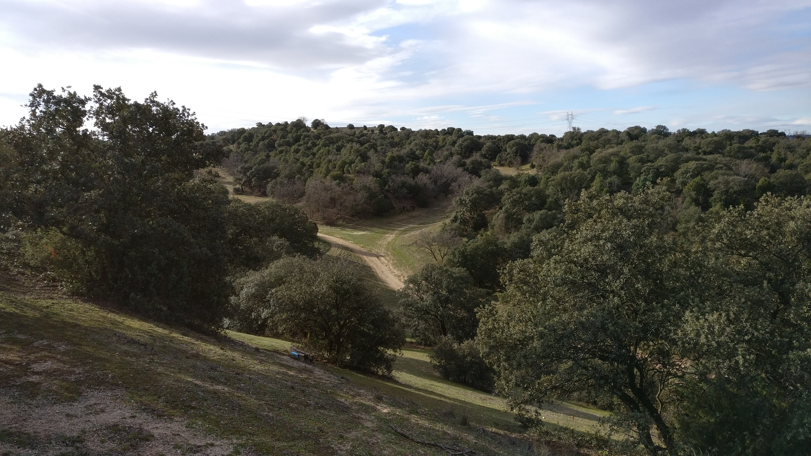 IMG_20180325_100446_l