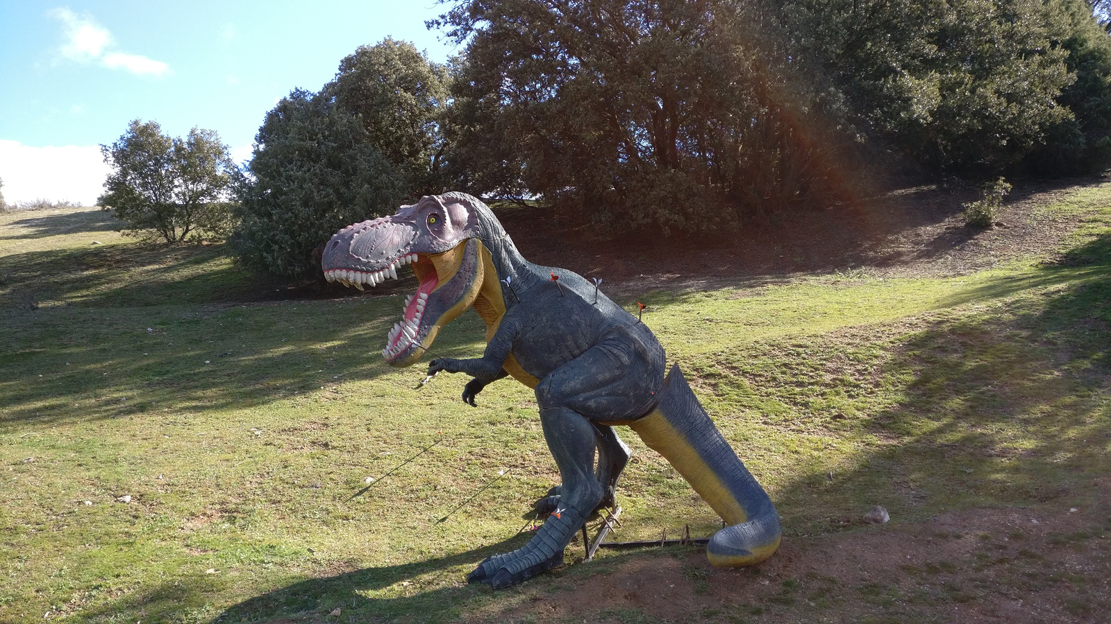 IMG_20180325_112822_l