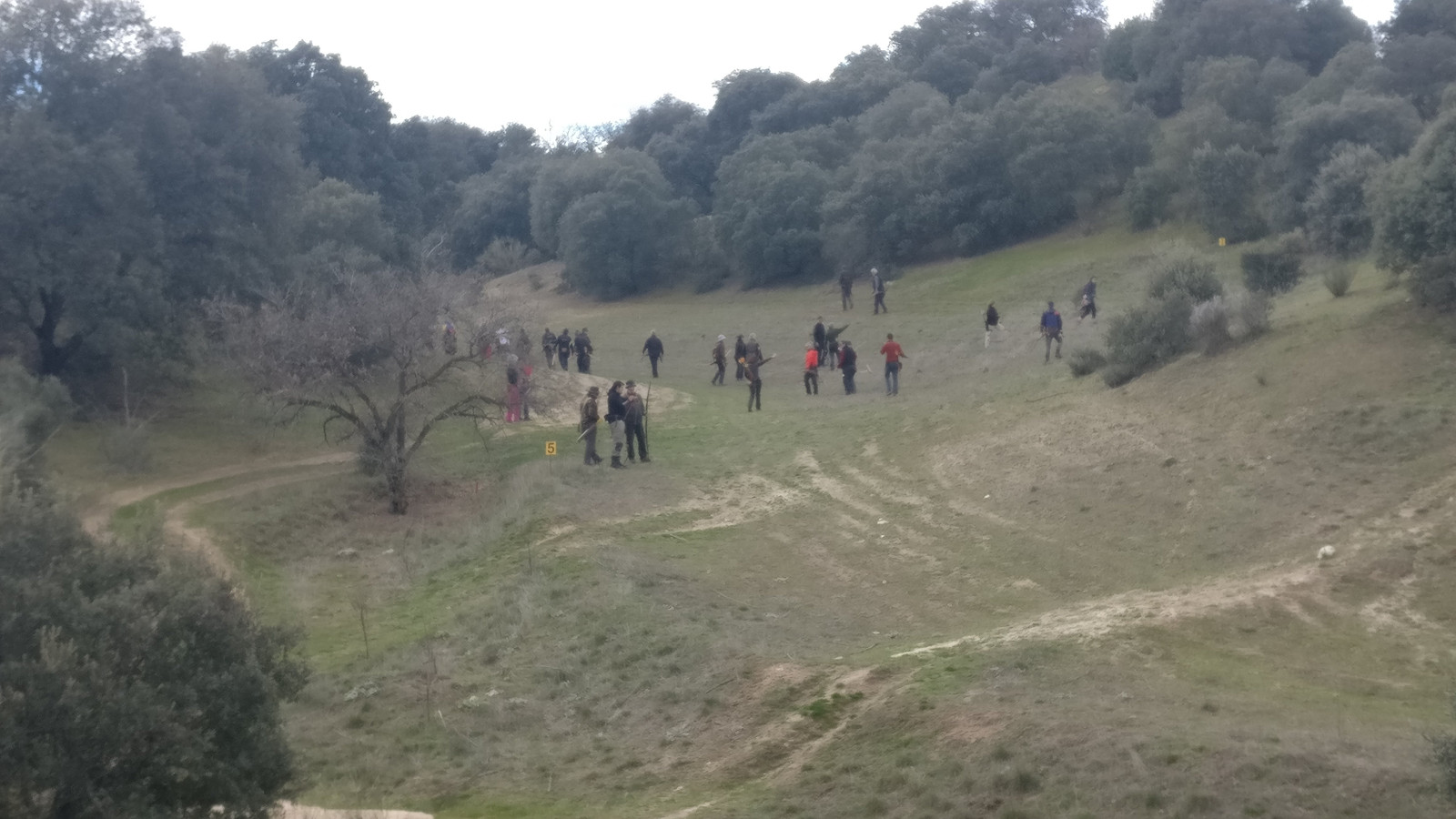 IMG_20180325_123153_l