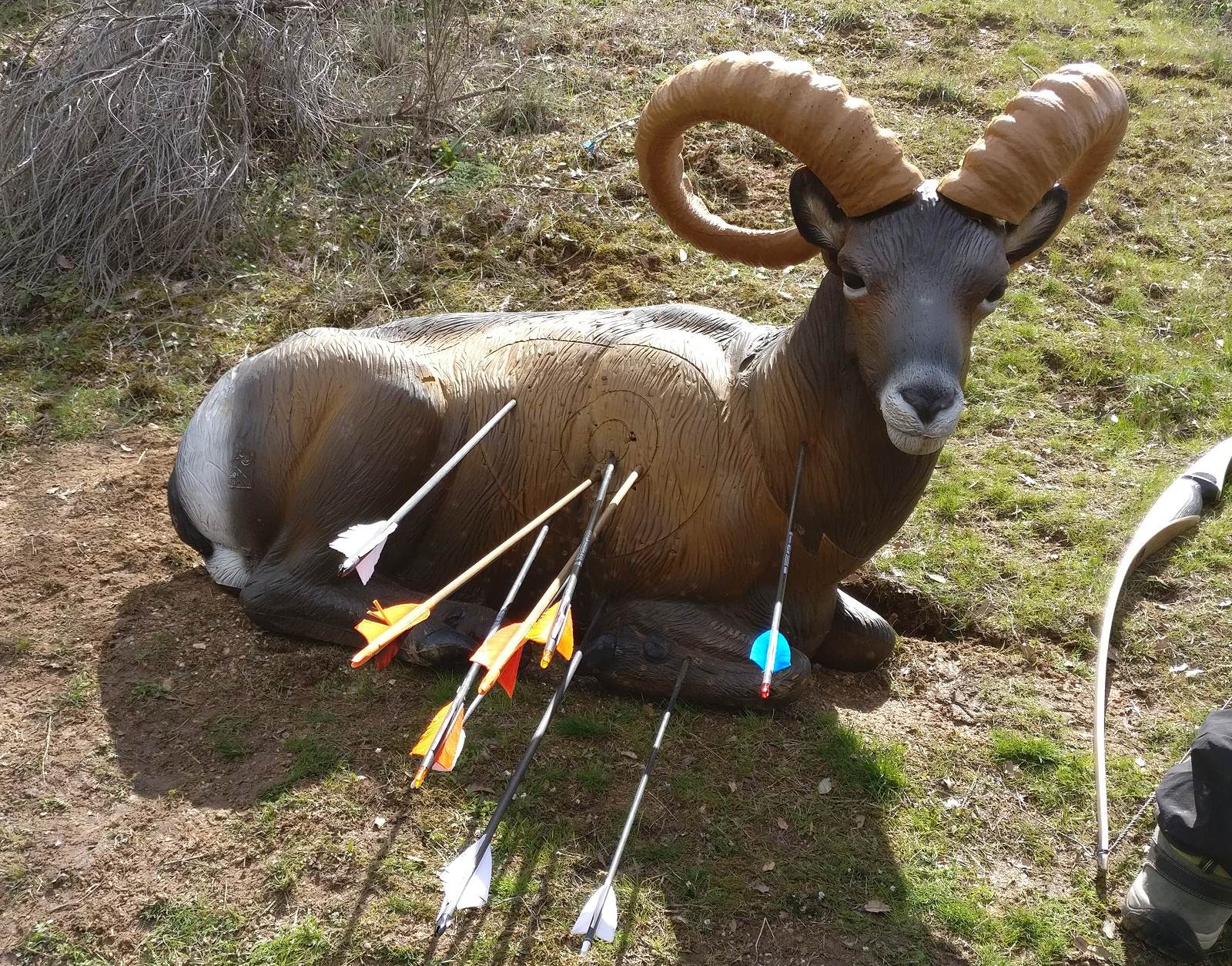 IMG_20180325_140152_l