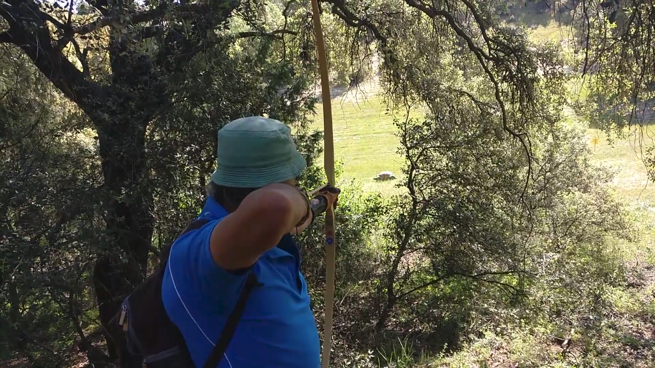 Screenshot-from-2018-05-11-23-35-03