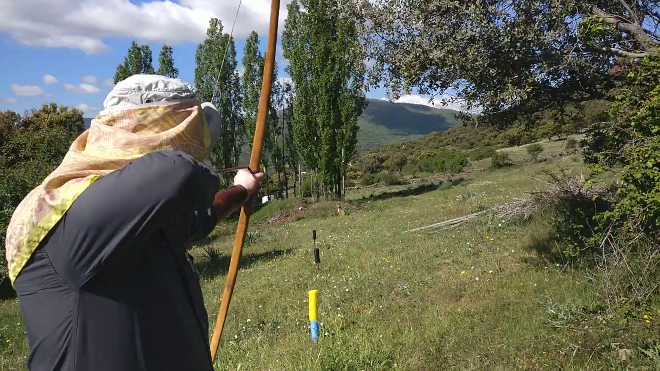 Screenshot-from-2018-05-27-16-21-55