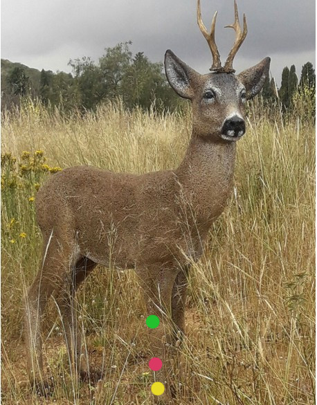 diana-modelo-corzo_referencias