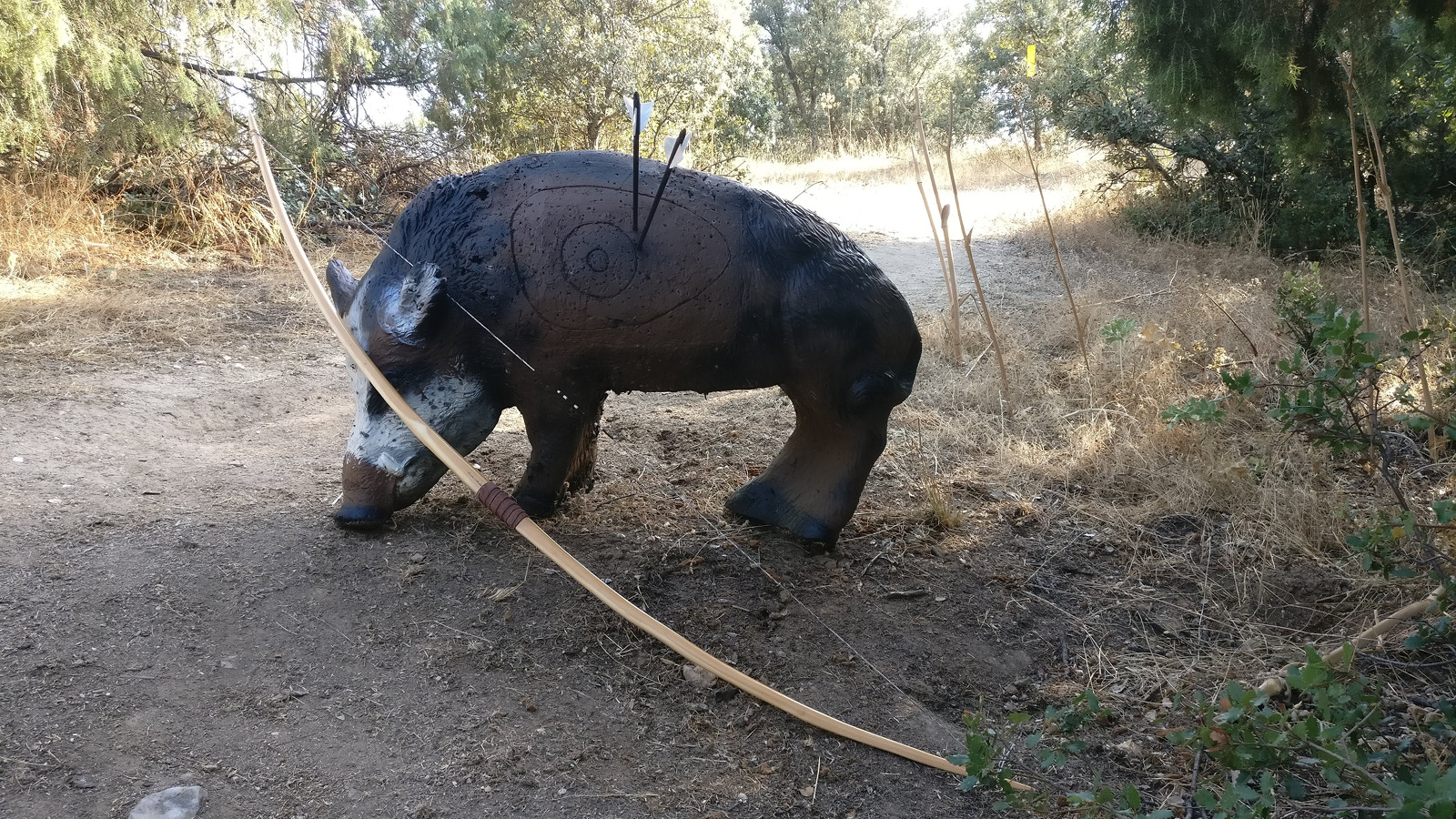 IMG_20180726_193746-2