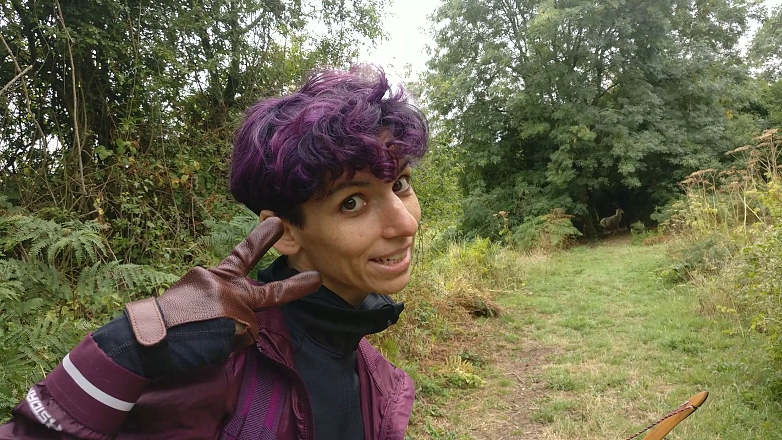 Screenshot-from-2018-08-18-16-22-11