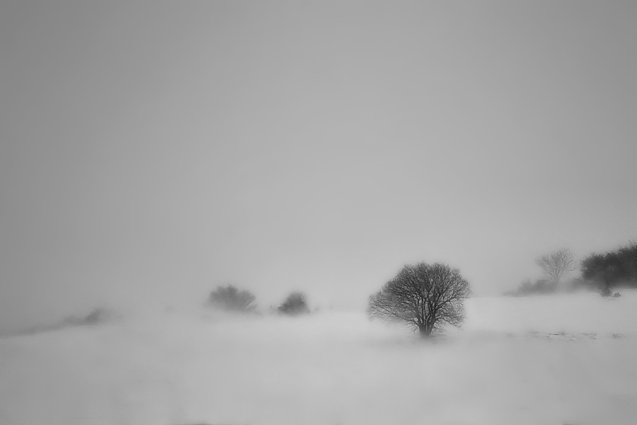16537498044_3ee81320c2_b