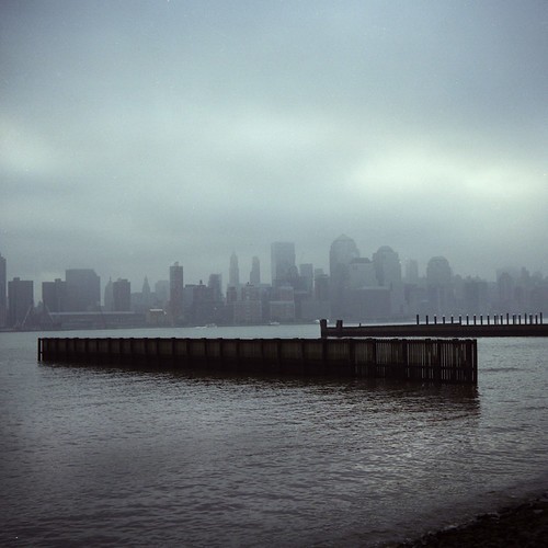 misty shore