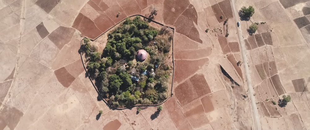 Thieves, Bandits, Good Shepherds, and Church Forests