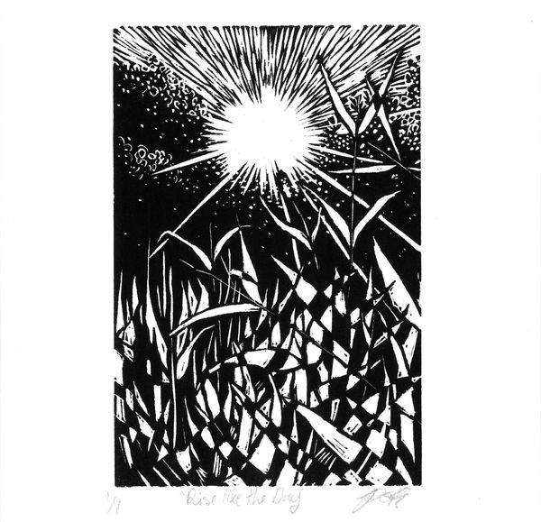 God Bless the Grass - Pendle Hill Pamphlet Published