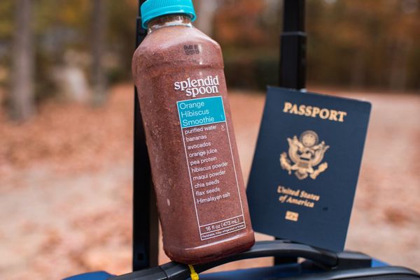 Splendid Tips for Smoother Travel