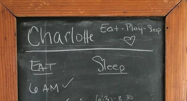 5 Tips to Stay Sane in Crazy Times