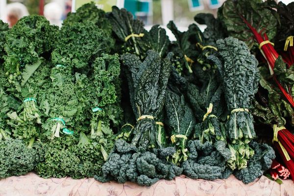 The Splendid Glossary